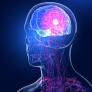 Investigan el cerebro al buscar una solución y descubren la versión real de la expresión 'encenderse la bombilla'