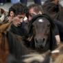 Rapa das Bestas de Sabucedo 2025: programa y horario del 4 al 6 de julio en la localidad de Pontevedra