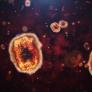 España notifica la primera muerte de mpox desde 2022 en un hombre inmunodeprimido sin vacunar