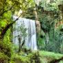 Monasterio de Piedra: ruta por el icono aragonés