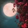 Luna de las flores 2024: cuándo y desde dónde ver la luna llena de mayo
