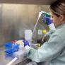 Hito español con una terapia contra el cáncer 'resistente'
