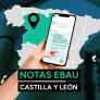 Notas EBAU Castilla y León 2024: resultado de los exámenes