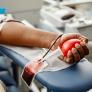 Ni los más jóvenes ni los más pequeños: este es el perfil más habitual del donante de sangre en España