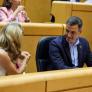 El PSOE y Sumar irán en coalición al Senado por Ibiza y Formentera