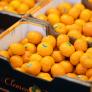 Una nueva mandarina sin semillas del extranjero pone de los nervios a España