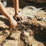 Asombro de los arqueólogos al tropezar con el misterioso anillo de oro de 500 años descubierto en el lugar más insólito en el 'pueblo desaparecido'