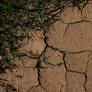 La urbanización de ricos que se salta las medidas anti sequía en una de las zonas más secas de España