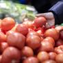 Un catedrático de Bioquímica explica qué está pasando con los tomates en España