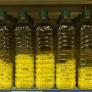 Los expertos se unen para aclarar los grumos blancos en el aceite de oliva