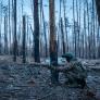 Rusia busca infiltrarse en países de la OTAN a través de estos bosques, pero los lugareños ya están preparados