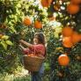 Europa deja al descubierto a España con el precio de la naranja