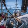 Rusia rompe el acuerdo del pescado con Reino Unido y piden que "pierdan peso"