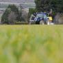 Euforia en el campo español por el nuevo freno a la fruta de Marruecos