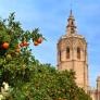 Marruecos y Sudáfrica temen con el futuro de sus frutas en España