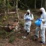 Toman medidas en uno de los mayores puntos negros de España por el pesticida cancerígeno