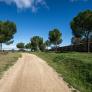 La 'ciudad de los ricos' en España aprueba talar un bosque centenario