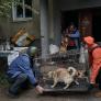 El plan de voluntarios ucranianos para salvar a las víctimas inesperadas de la invasión rusa: los animales
