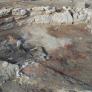 Sorpresa sin precedentes en una excavación prehistórica: entierro séxtuple y un ritual por resolver