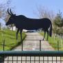 La curiosa forma en la que un ganadero asturiano avisa de que tiene un toro en su finca