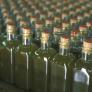 Entierran de un plumazo las esperanzas de la bajada del precio del aceite de oliva