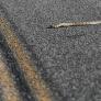 La especie invasora sobre ruedas: detienen a la primera serpiente motorizada de Gran Canaria