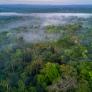 Un arqueólogo sostiene que la leyenda de la ciudad perdida en el Amazonas "no tiene sentido"