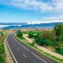 El motivo por el que esta planta se usa tanto en las autovías