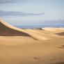 Por qué Maspalomas se llama Maspalomas: no tiene nada que ver con este animal