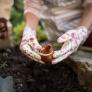 Esto es lo que debes plantar en tu jardín en septiembre para que tus vecinos te envidien en primavera