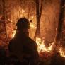 Los incendios no son -solo- para el verano: así se preparan los montes frente al fuego