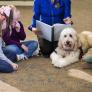 Luz verde al primer experimento español con un perro en el aula: "Ayuda a alumnas con problemas de conducta"