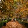 El otoño será cálido en toda España tras el verano más caluroso en los últimos 63 años