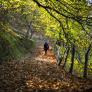 El bosque de Málaga con un gran encanto natural en otoño