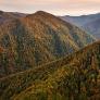 El espectacular bosque asturiano considerado Reserva de la Biosfera que en otoño se tiñe de magia