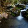 El llamado 'bosque encantado' de Granada con robles, cerezos, sauces y tejos para vivir el otoño más auténtico