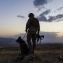 Avisan a un soldado en plena guerra de que su perro ha muerto y 6 años después descubre y abraza la verdad