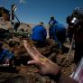 Estupefacción por el hallazgo de un naufragio repleto de oro en mitad del desierto