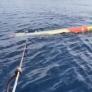 Tropiezan con un torpedo de la Armada Española sin explotar y se enfrentan a la gran duda