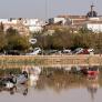 Italia se rinde en masa a la valentía de la mujer que se niega a condenar a muerte a sus perros y gatos en la DANA de Valencia