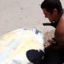 Una gigantesca tortuga queda atrapada en la arena de la playa y un padre acude a todo correr para convertirse en héroe salvador