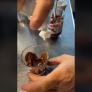 Una cafetería de Cambrils se corona con lo que hace con la Nutella: delicatessen o aberración