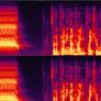 Ni un grito ni de origen humano: escucha el sonido más aterrador del mundo