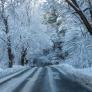 La Junta de CyL envía un mensaje 'ES-ALERT' por las nevadas y el 112 atiende hasta el momento un "par de avisos"