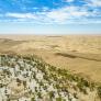 China tarda 40 años en detener el segundo desierto de arena más grande del mundo con un cinturón verde de 3.000 kilómetros