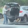 Las desgarradoras señales que indican que tu perro está muriendo y que muchos dueños pasan por alto