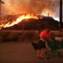 Se elevan a 10 los muertos por el fuego en Los Ángeles, donde han ardido ya 10.000 hogares