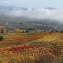 En el extranjero destacan las maravillas de la región española revitalizada gracias al vino