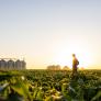 Un agricultor de pipas y garbanzos pone en alquiler sus tierras, las llena de placas solares y rompe el mercado: "Antes ganaba 100 euros y ahora 1.900"