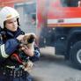 El simple gesto que pone en alerta a los bomberos para salvar a tu mascota en un incendio